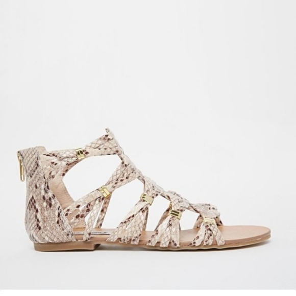 Steve Madden Shoes - Steve Madden | Comly Natural Snake Sandal